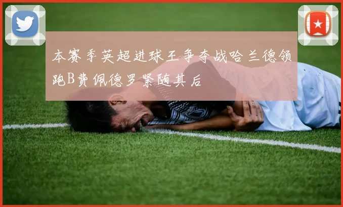 本赛季英超进球王争夺战哈兰德领跑B费佩德罗紧随其后